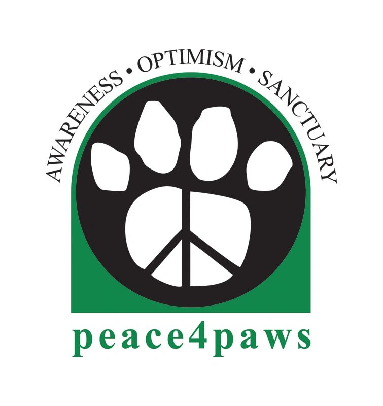 Peace4Paws Dog Adoption Rescue Dogs Beagle Puppy   Peace4Paws Final Logo Wbg Sm Rgb 